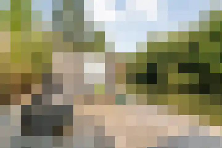 Wayerkamp 71 Zwolle thumbnail 41