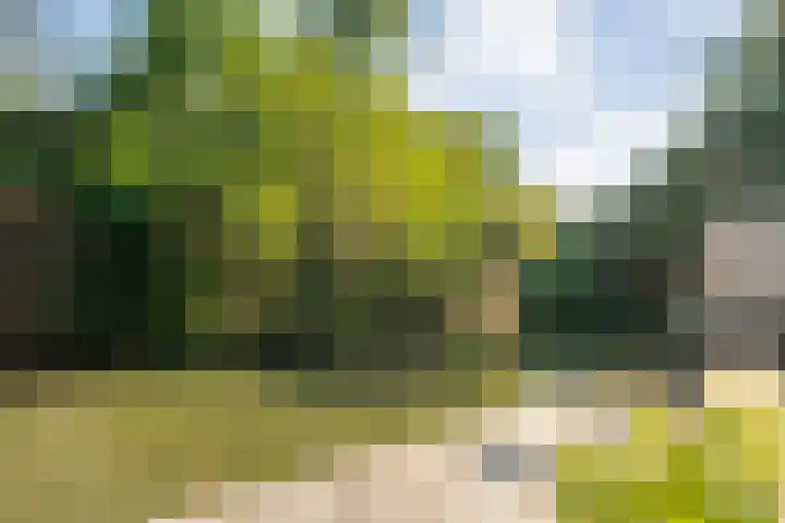 Wayerkamp 71 Zwolle thumbnail 42