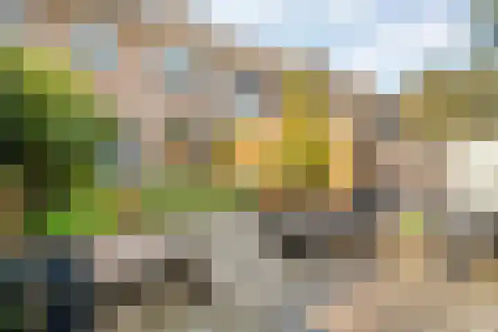 Wayerkamp 71 Zwolle thumbnail 6