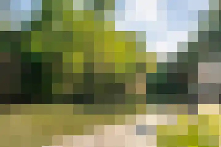 Wayerkamp 71 Zwolle thumbnail 7