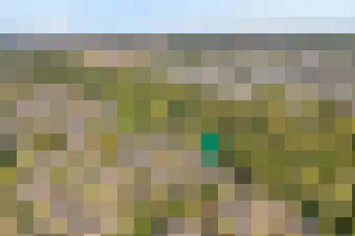 Wayerkamp 71 Zwolle thumbnail 9