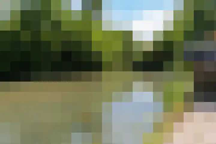 Wayerkamp 73 Zwolle thumbnail 27
