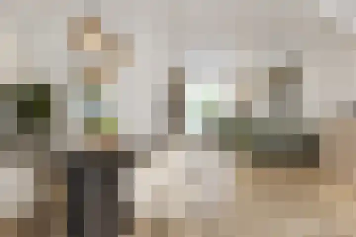 Wayerkamp 73 Zwolle thumbnail 7