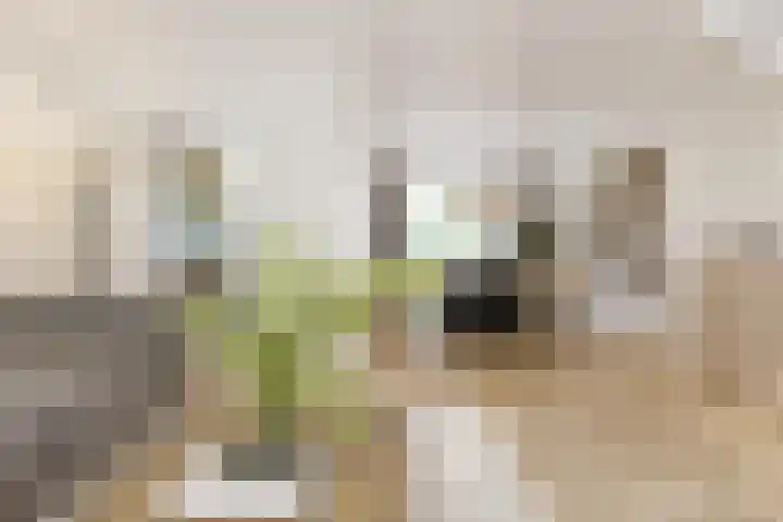 Wayerkamp 73 Zwolle thumbnail 8