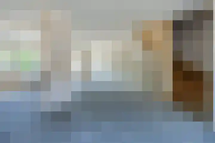 Wayerkamp 73 Zwolle thumbnail 9