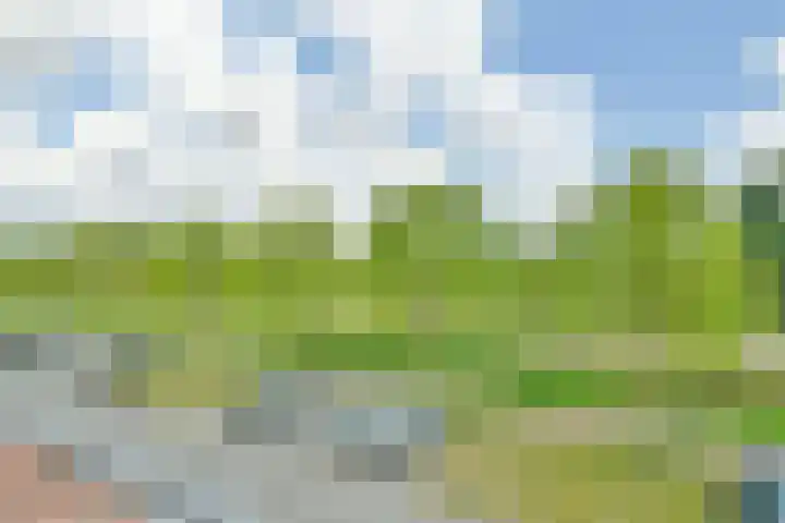 Wayesteinsingel 125 Nieuw-Vennep thumbnail 36