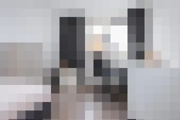 Wayesteinsingel 69 Nieuw-Vennep thumbnail 24