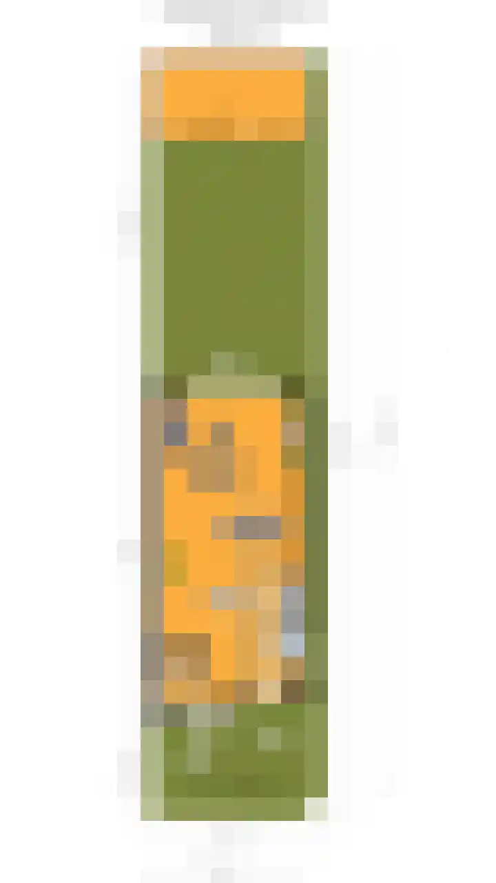 Wayesteinsingel 69 Nieuw-Vennep thumbnail 43