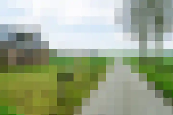 Weardebuorsterwei 12 Westergeast thumbnail 10