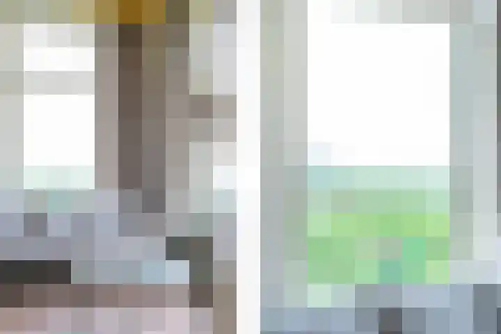 Weardebuorsterwei 12 Westergeast thumbnail 15