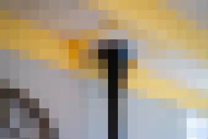 Weardebuorsterwei 12 Westergeast thumbnail 16