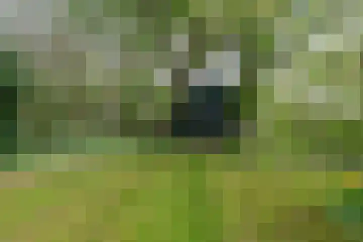 Weardebuorsterwei 12 Westergeast thumbnail 40