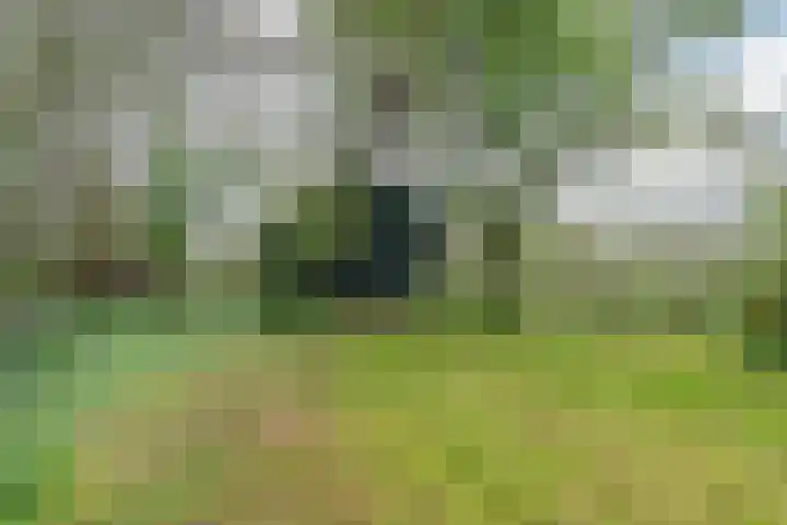Weardebuorsterwei 12 Westergeast thumbnail 41