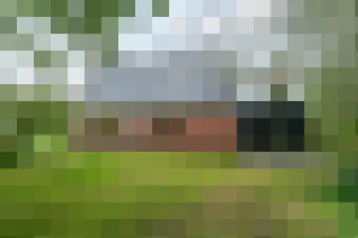 Weardebuorsterwei 12 Westergeast thumbnail 42