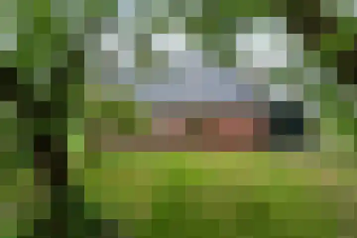 Weardebuorsterwei 12 Westergeast thumbnail 43