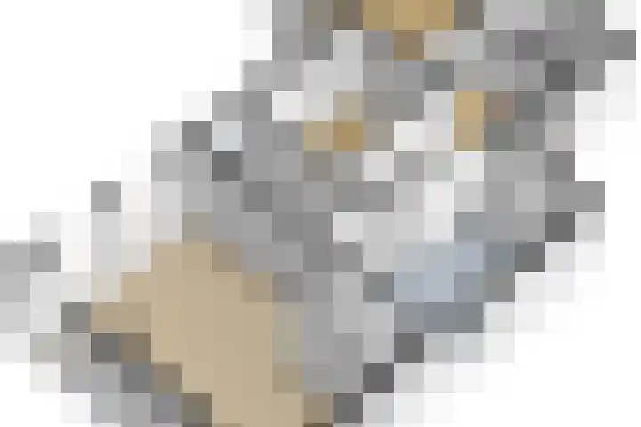 Weardebuorsterwei 12 Westergeast thumbnail 49