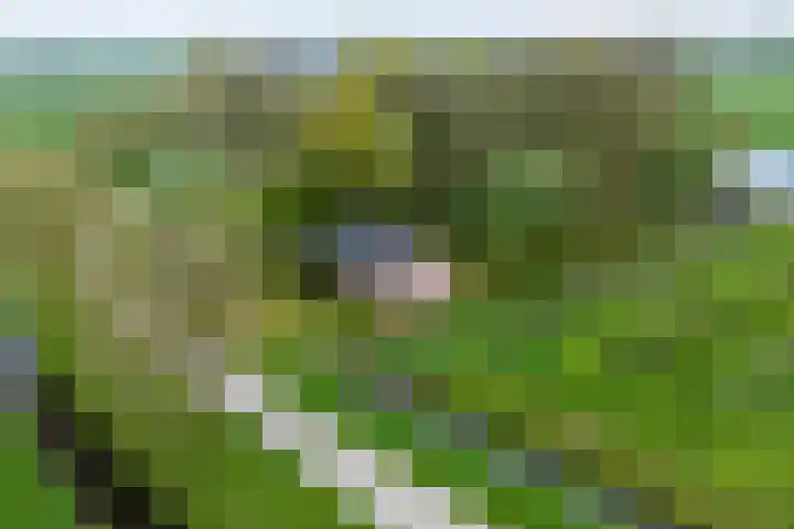 Weardebuorsterwei 12 Westergeast thumbnail 5