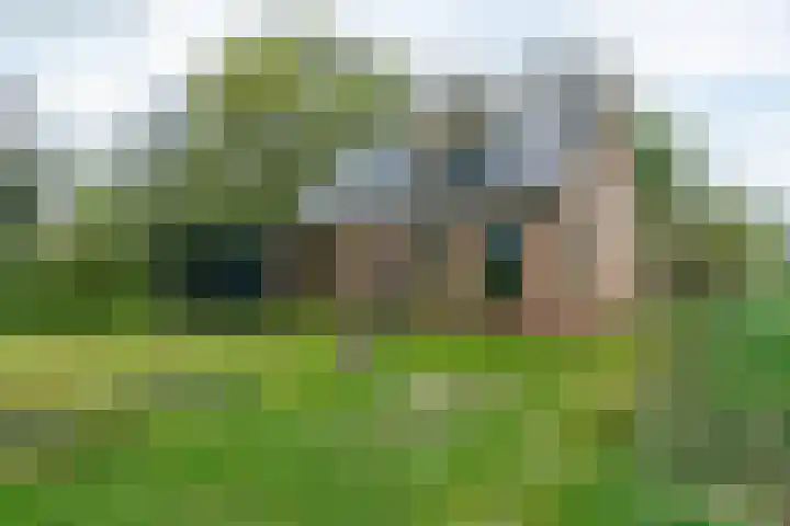 Weardebuorsterwei 12 Westergeast thumbnail 6