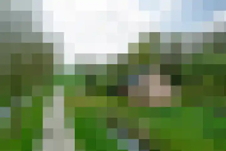 Weardebuorsterwei 12 Westergeast thumbnail 7