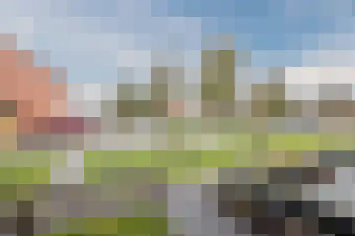 Webbinkstraat 107 Westerhaar-Vriezenveensewijk thumbnail 4