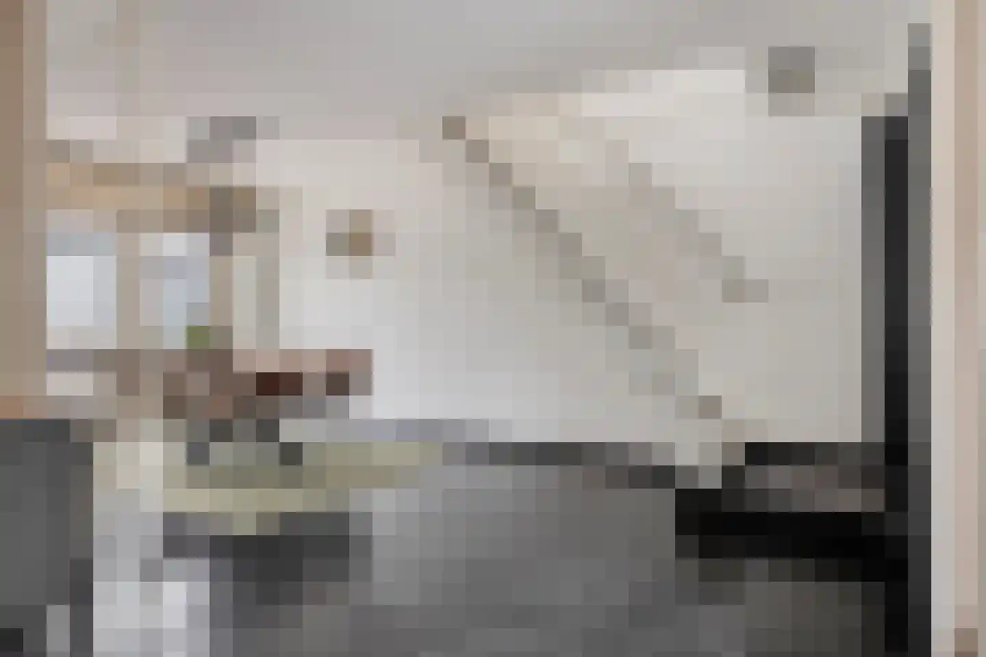 Weberlaan 4 Bergen op Zoom thumbnail 18