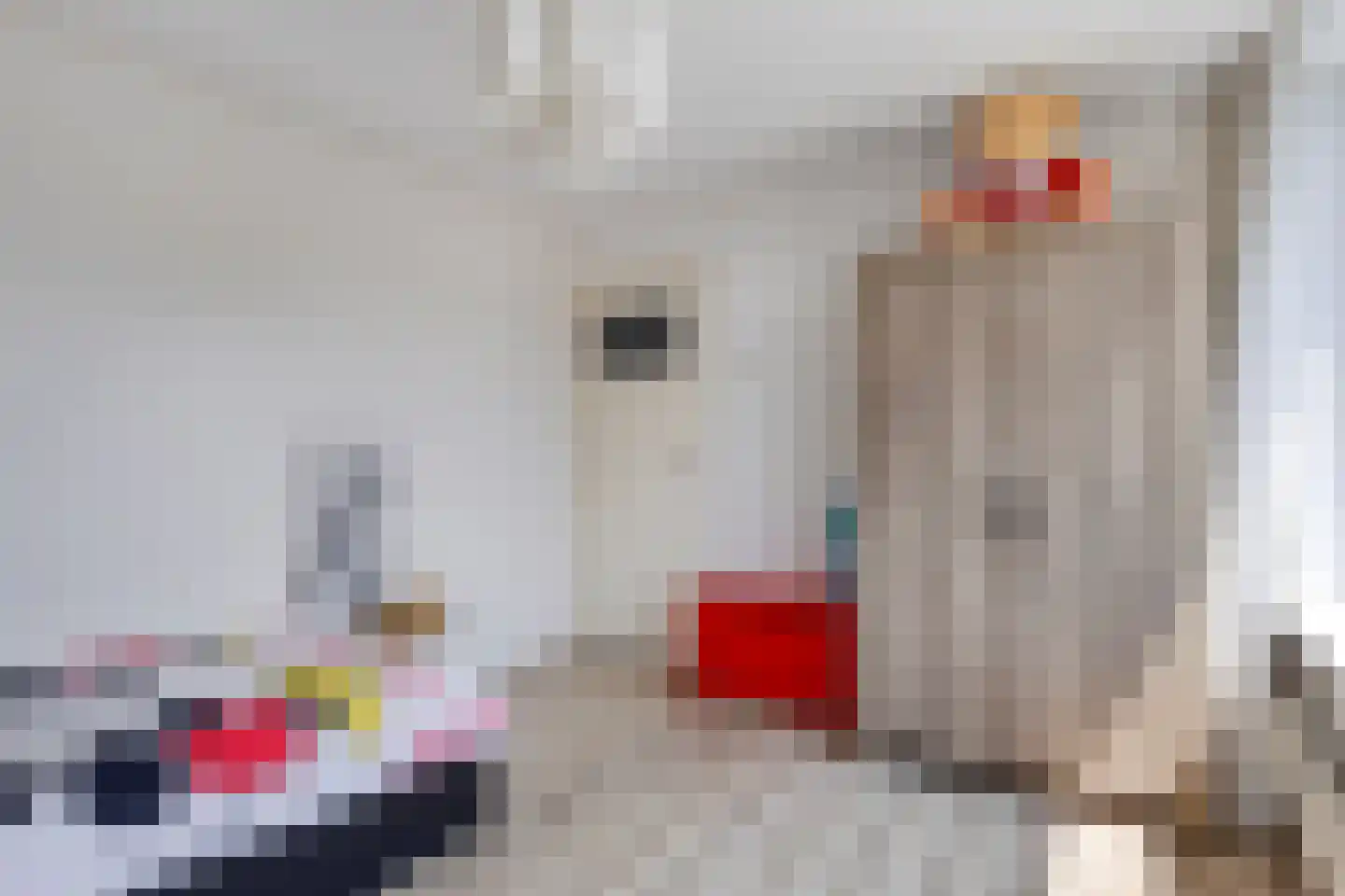 Weberlaan 7 Bergen op Zoom thumbnail 18