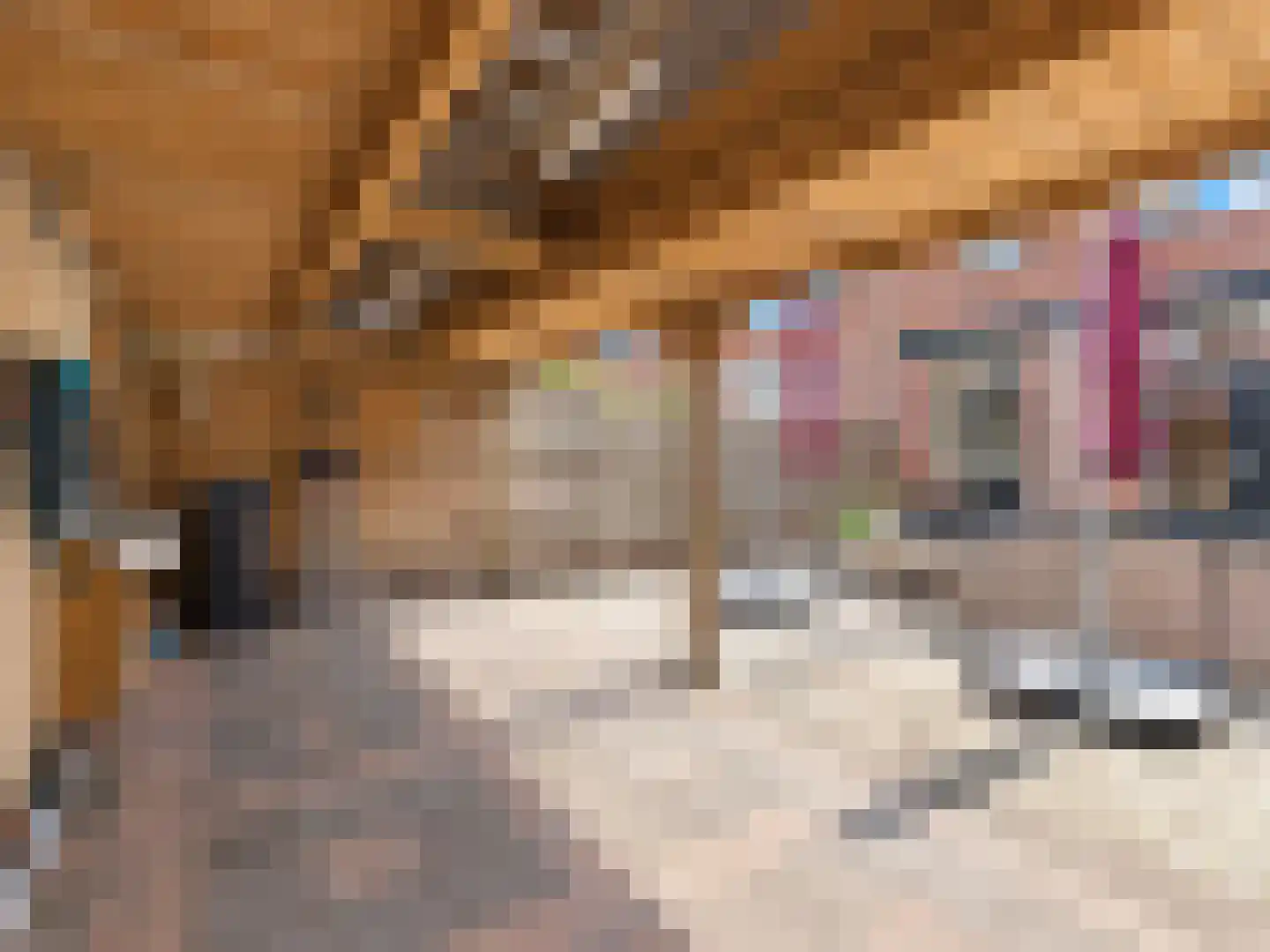 Weberstraat 24 Hilversum thumbnail 10