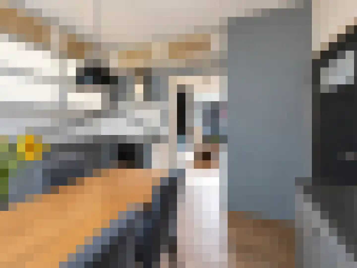 Weberstraat 24 Hilversum thumbnail 12