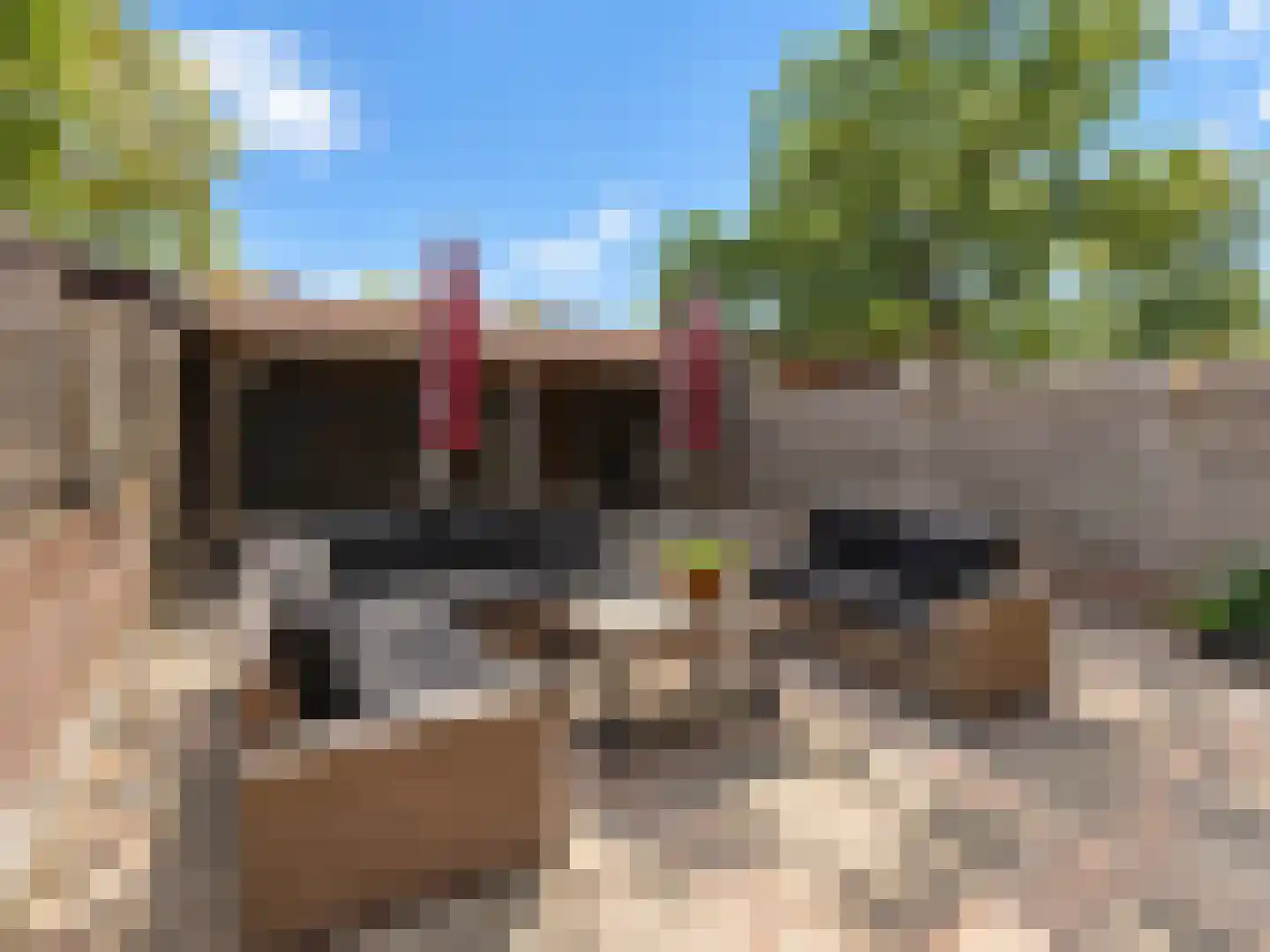 Weberstraat 24 Hilversum thumbnail 8