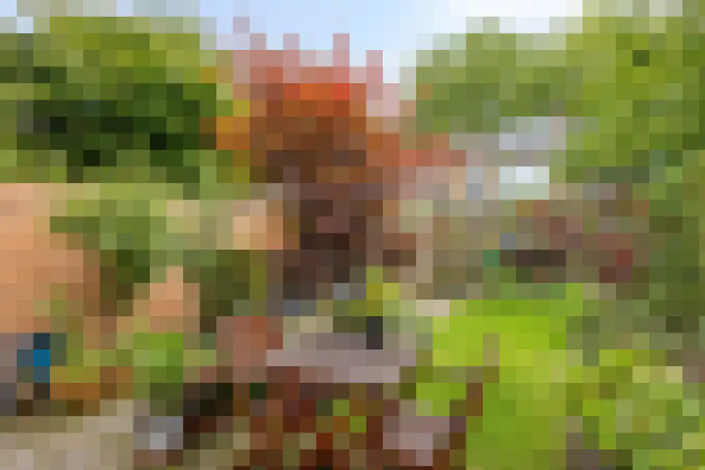 Weberstraat 5 's-Hertogenbosch thumbnail 27