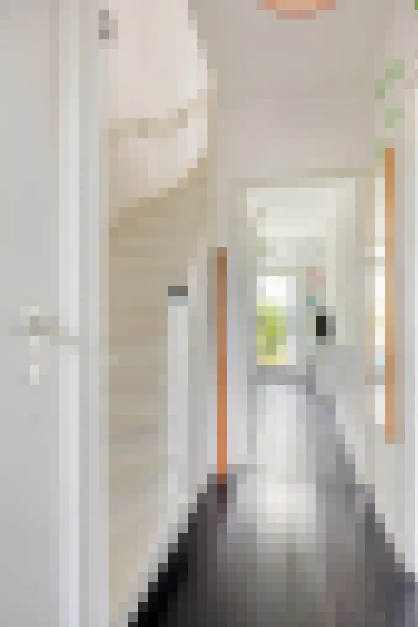 Weberstraat 5 's-Hertogenbosch thumbnail 5