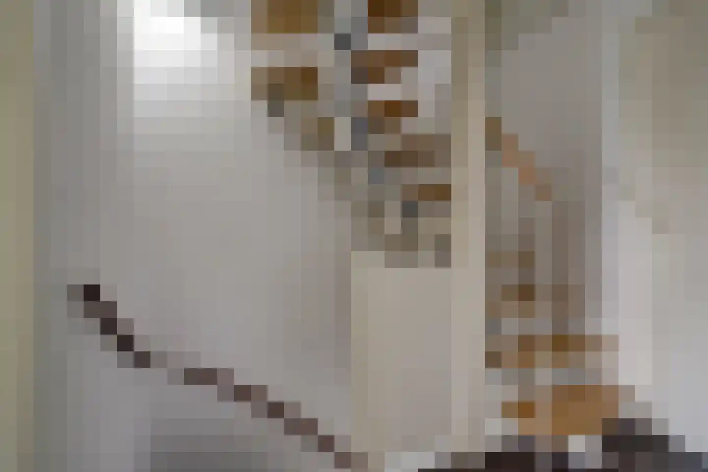 Weberstraat 9 Dongen thumbnail 15