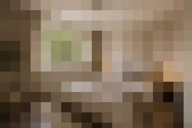 Weberstraat 9 Dongen thumbnail 17