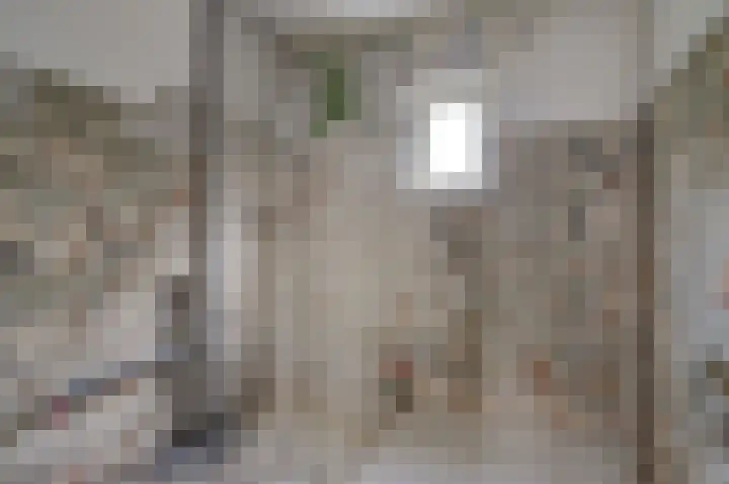 Weberstraat 9 Dongen thumbnail 23