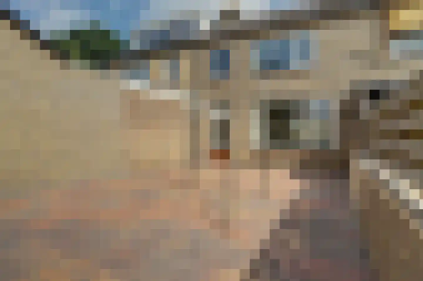 Weberstraat 9 Dongen thumbnail 29