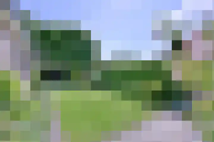Wechelerweg 38 C Diepenveen thumbnail 16