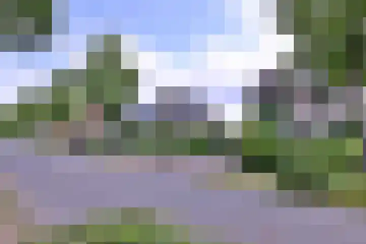 Wechelerweg 38 C Diepenveen thumbnail 4