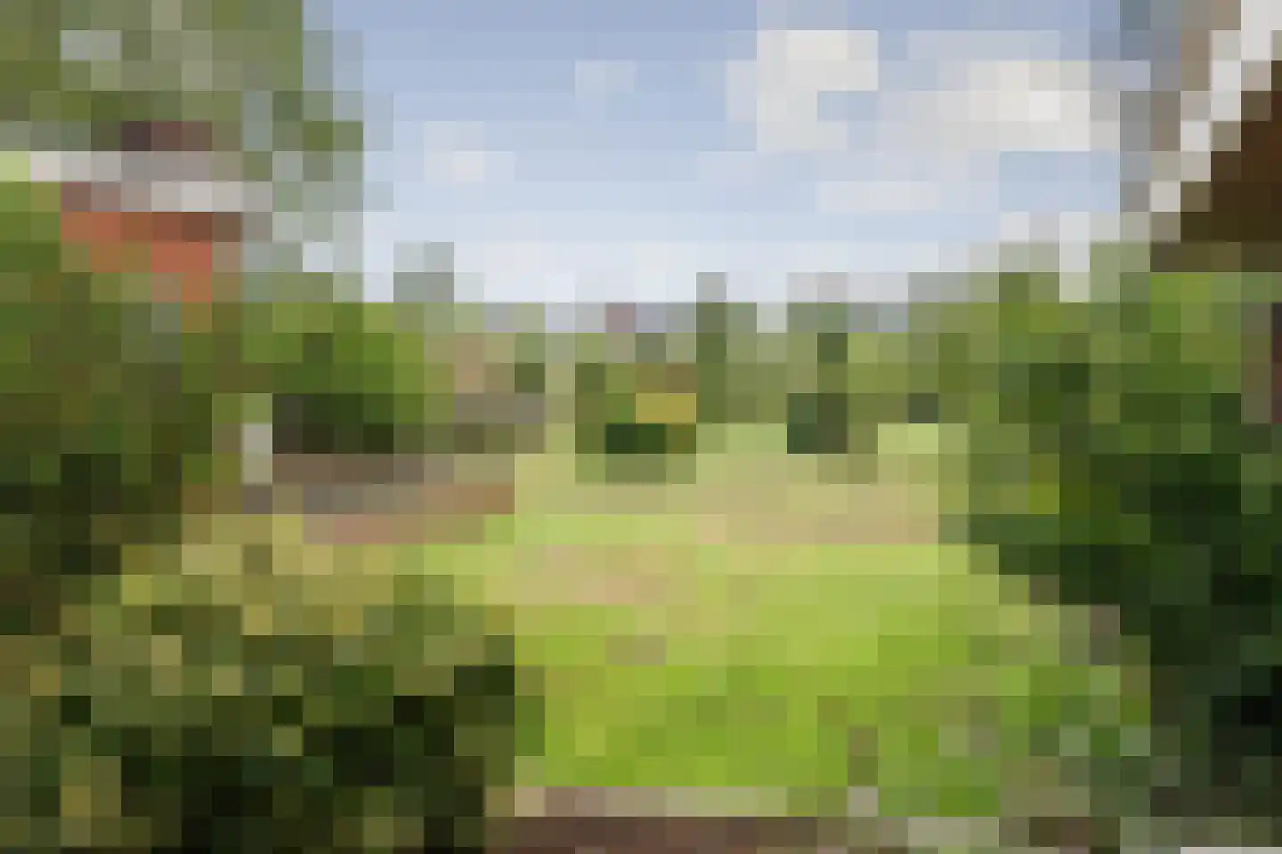 Wechelerweg 46 B Diepenveen thumbnail 31
