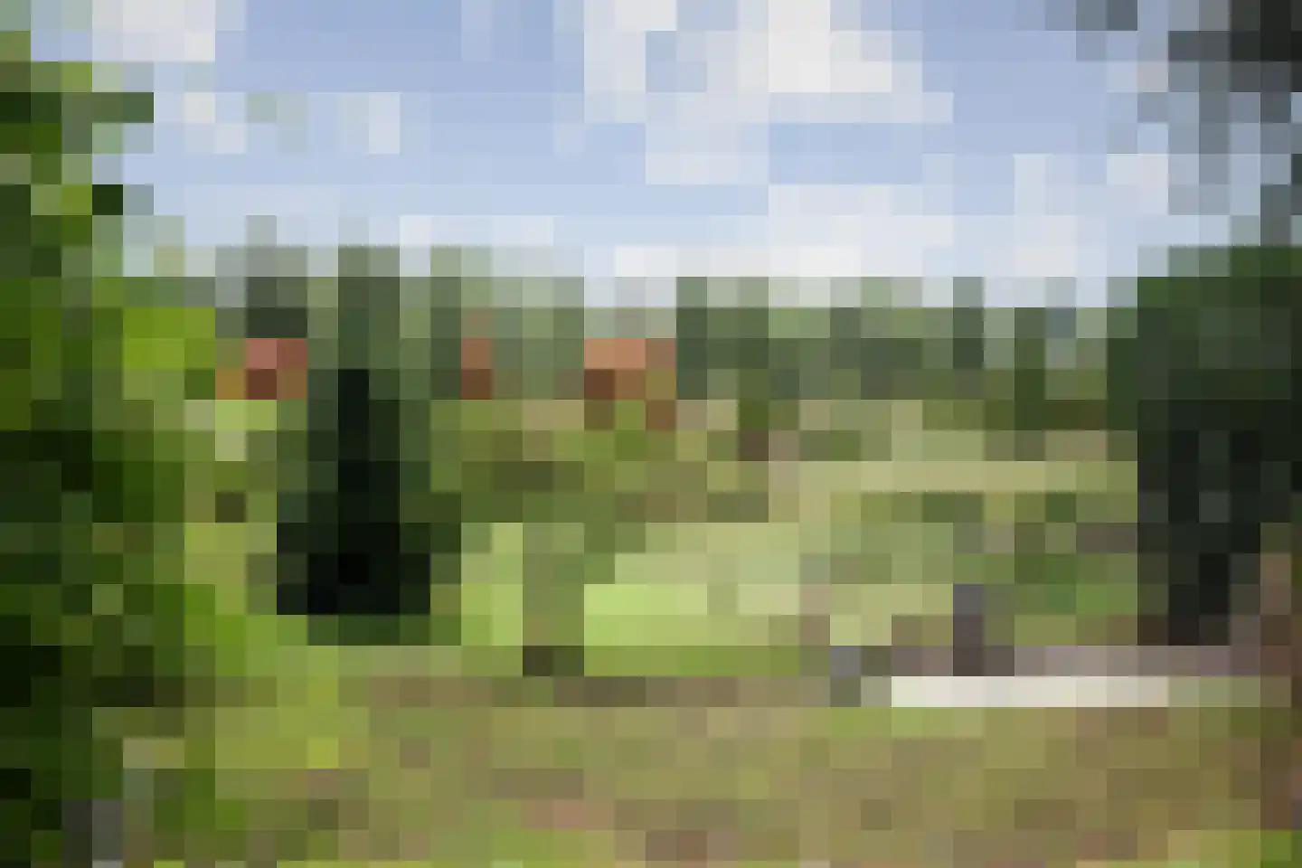Wechelerweg 46 B Diepenveen thumbnail 34