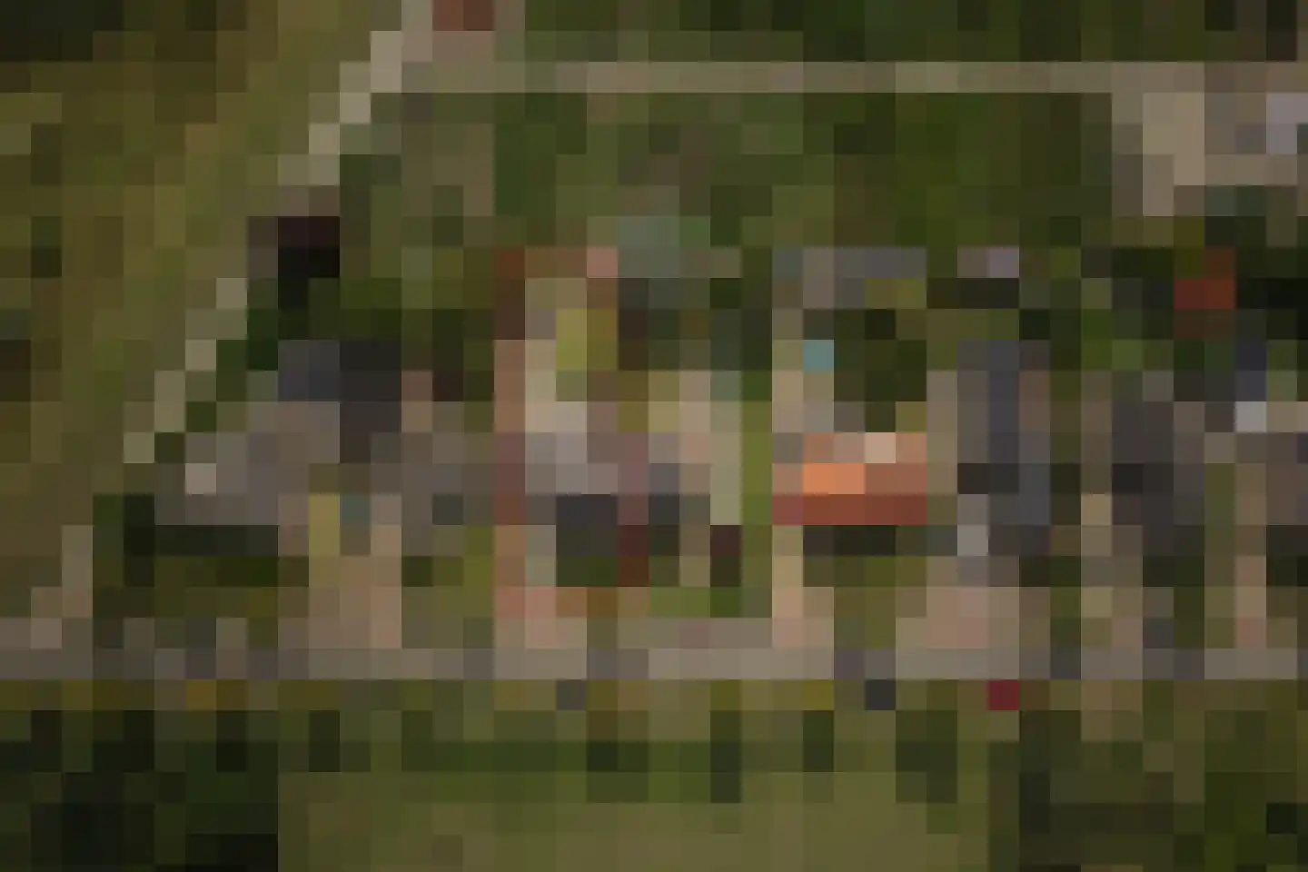 Wechelerweg 46 B Diepenveen thumbnail 4