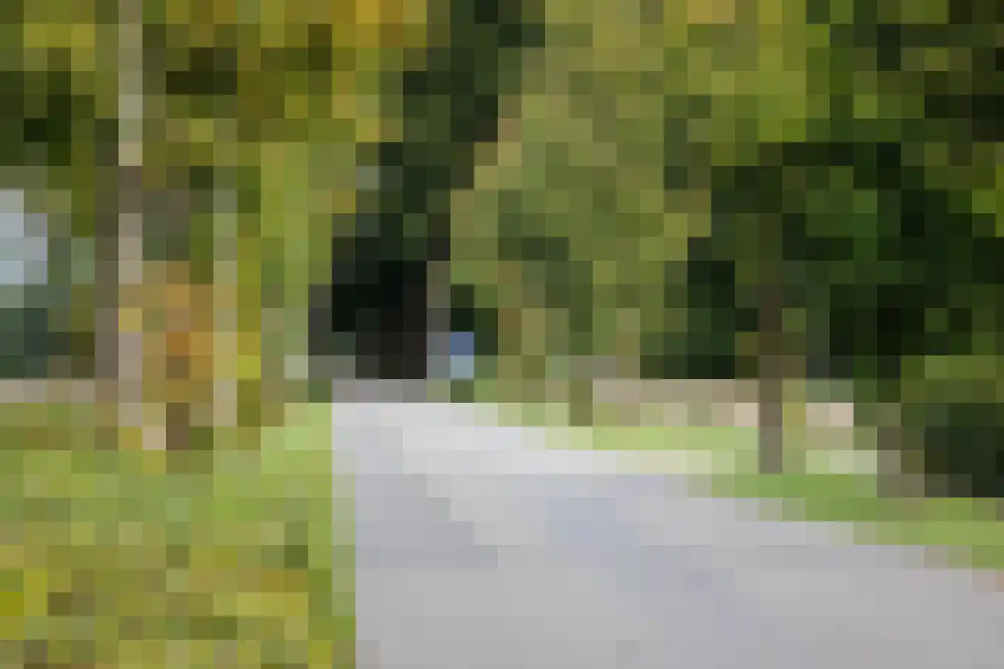 Wechelerweg 46 B Diepenveen thumbnail 57