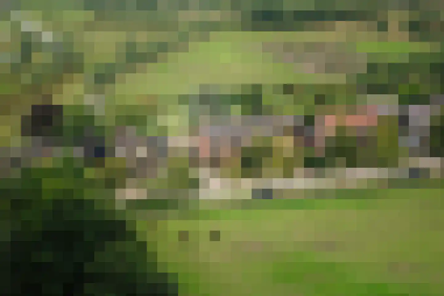Wechelerweg 46 B Diepenveen thumbnail 60