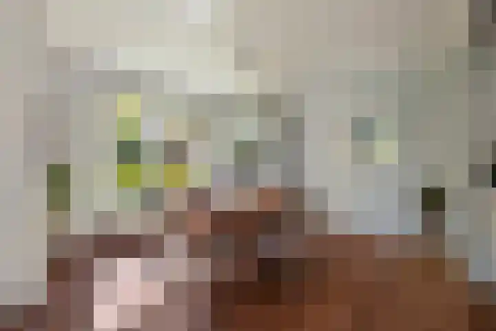 Wechterholt 11 b Wijhe thumbnail 10