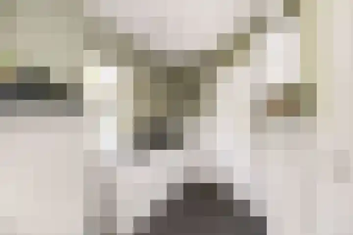 Wechterholt 11 b Wijhe thumbnail 15