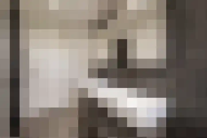 Wechterholt 11 b Wijhe thumbnail 17