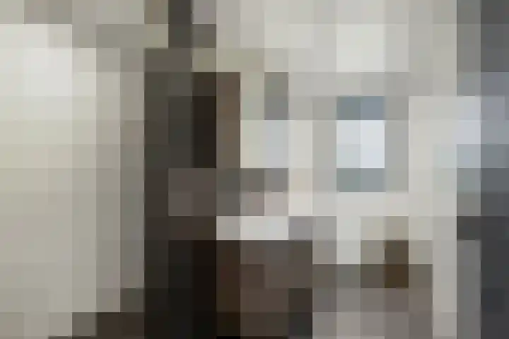 Wechterholt 11 b Wijhe thumbnail 18