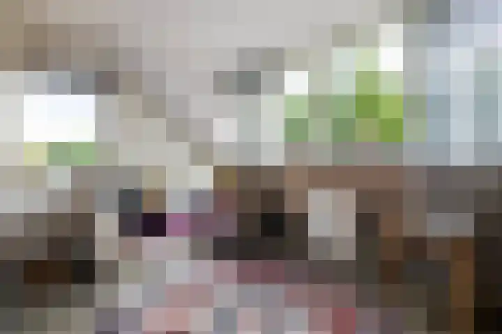 Wechterholt 11 b Wijhe thumbnail 22