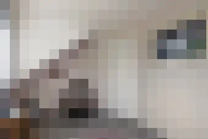 Wechterholt 11 b Wijhe thumbnail 23