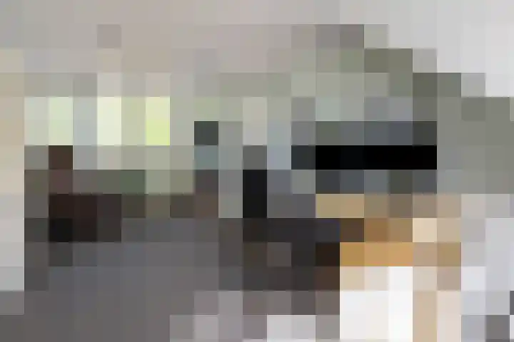 Wechterholt 11 b Wijhe thumbnail 24