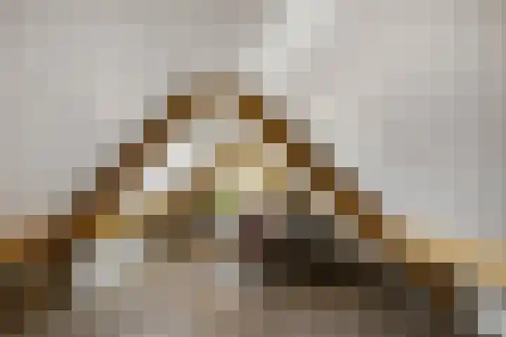 Wechterholt 11 b Wijhe thumbnail 28